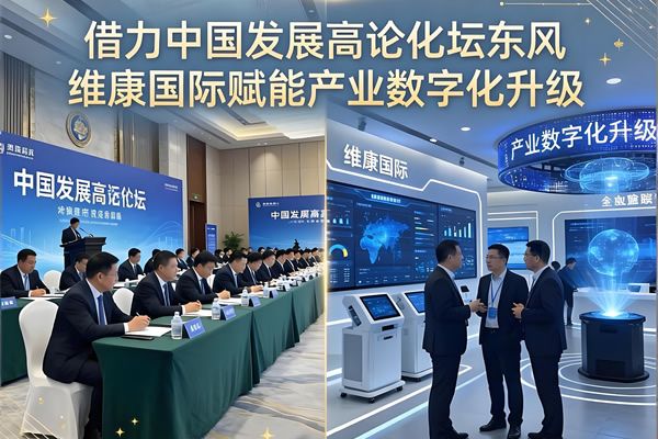借力中國發展高層論壇東風 維康國際賦能產業數字化升級