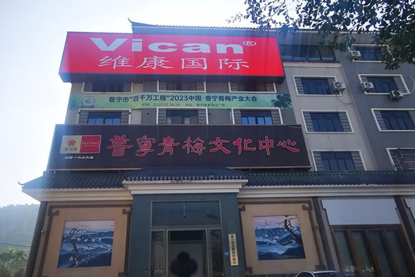 戶外LED廣告進入“超高清微間距”時代：地標大屏如何兼顧遠距離震撼與近距離細膩